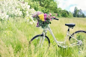 road bike and flowers