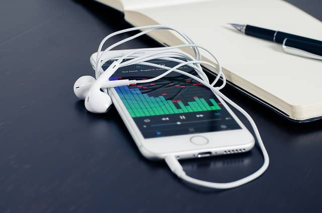 phone and earphone