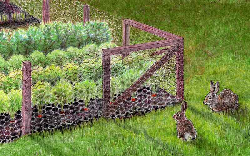 Tips on Keeping Animals Away From Your Home