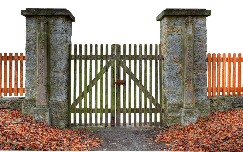 What You Should Know About Deer Fences