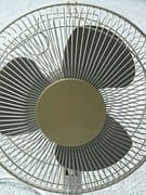 fan